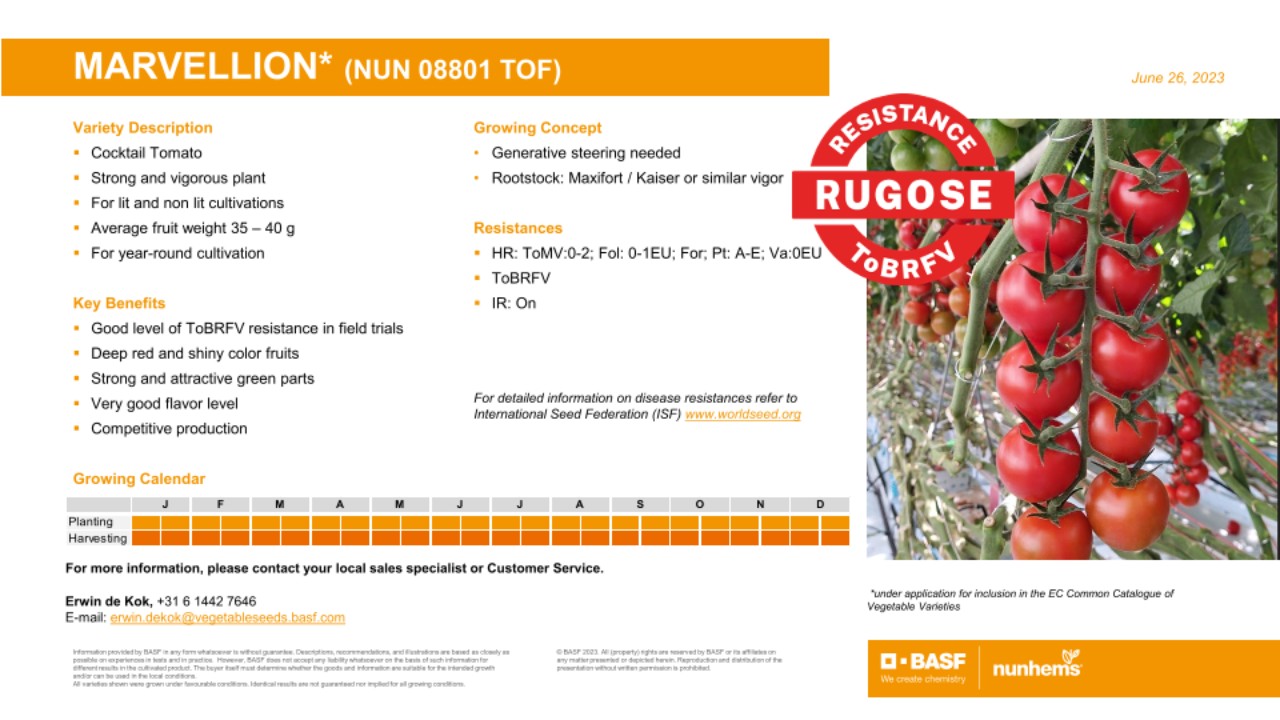 BASF Nunhems | Variety proFILE